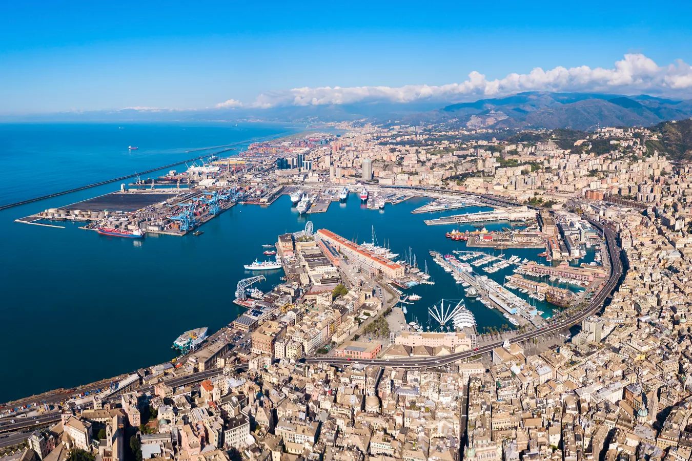 genova