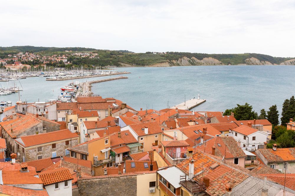 f014568 05 mediteranska kraska slovenija pogled iz zvonika 1 photo m